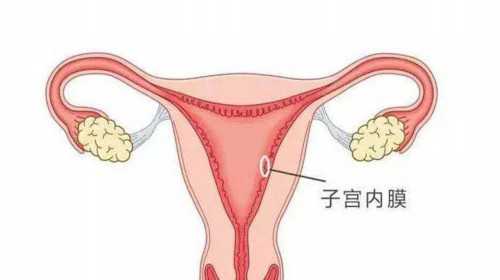 上海康健备孕培训-上海私立医院供卵多少钱