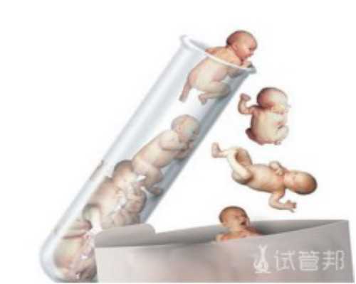 上海试管助孕套餐包含哪些服务？?,上海三代试管助孕公司排名前十名?