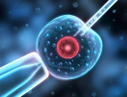 上海代生的过程,在上海做供精试管成功率高吗供精试管婴儿的成功率受哪些因