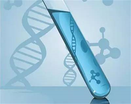 供卵一般费用是多少&金贝供卵还是紫朵朵,不孕不育的治疗费用有哪些呢?