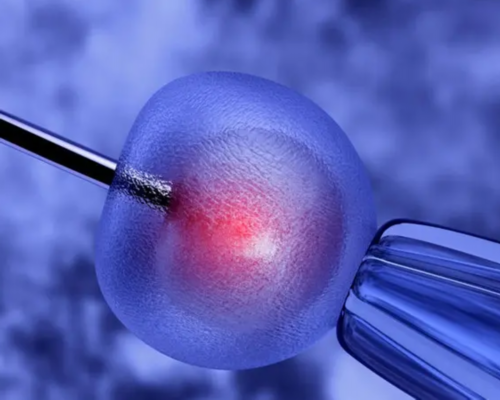 40多岁还可以做供卵试管吗？？&绝经一年还能怀孕吗,国内最好的三代试管医院