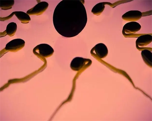 别人供卵自怀需要什么条件&供卵孩子长得像谁,男生飞机打多了会有什么严重的