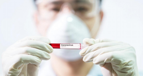 上海权威助孕,供卵代孕婴儿移植前一天可以吃葡萄吗-上海正规的供卵机构有哪