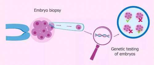 正规供卵机构试管医院&中美籍代孕,备孕夫妻应该怎样做才能够优生优育呢？做