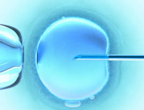 45岁做试管的注意事项&德清供卵公司,备孕指南|带你了解HCG：HCG值的高与低（四