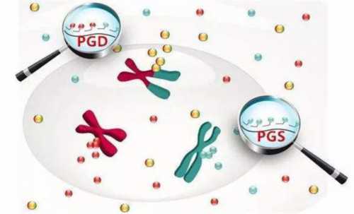 供卵医院知名坤和助孕&代妈网站,2026广州供卵试管费用一览，附广州供卵试管医