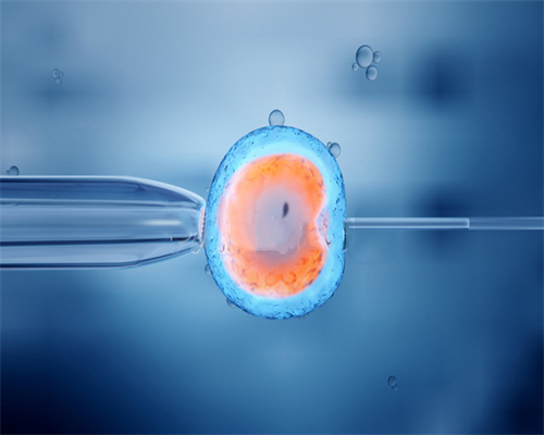 上海代怀公司哪家,上海的美国试管婴儿中介？美国试管婴儿中介排名