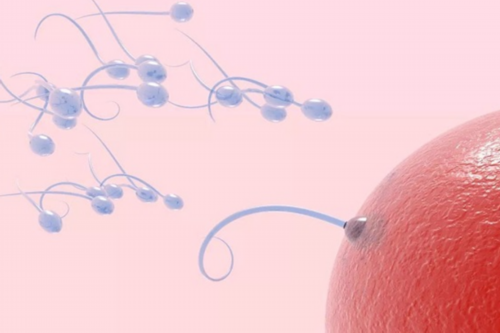 上海二胎有什么补助政策！2026年上海二胎生育政策补贴！