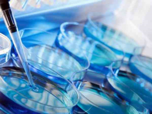 上海三代试管成功率高