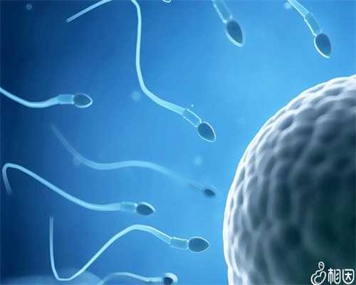 上海专业代孕双胞胎,2026年上海私立机构试管婴儿收费标准，试管生男女3万元起