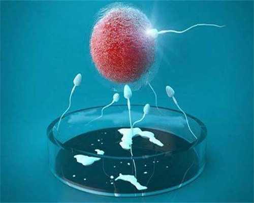 试管婴儿代妈合法吗&试管为什么查amh,春节期间备孕真的合适吗