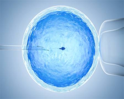 怎么查不到金贝供卵的地址&试管包套餐可靠吗,清镇不孕不育医院有哪些？地址