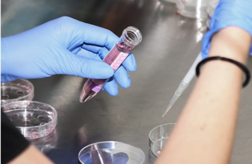 上海代怀哪里便宜,做试管是需要多长时间_试管婴儿上海费用，上海试管婴儿中