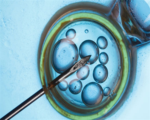 备孕利器：红枣枸杞姜水的功效、做法和受孕能力提升！