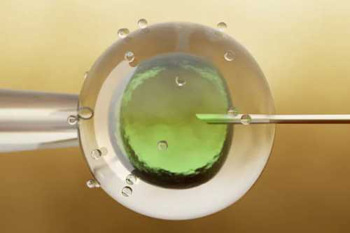 上海寻找试管代怀,上海捐卵助孕多少钱啊一次