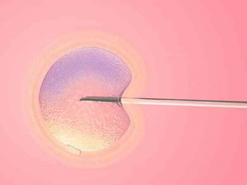 上海找个代孕公司,想去做试管，整个需要的时常和费用大概多少_上海供卵试管