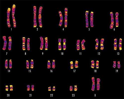 上海买卵子做供卵代孕,请问做供卵代孕婴儿必须是夫妻吗-上海供卵供卵代孕医