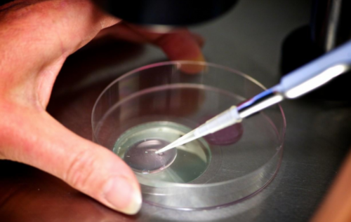 揭秘夫妻同居时间过长不孕的真正原因及解决方案