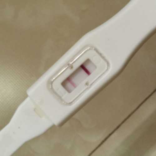 上海试管代怀收费,上海九院试管供卵生子费用流程明细，2026最新试管成功率一