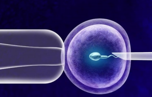 上海代孕网哪家好,试管婴儿哪里比较专业，上海第三代试管婴儿成功率高吗