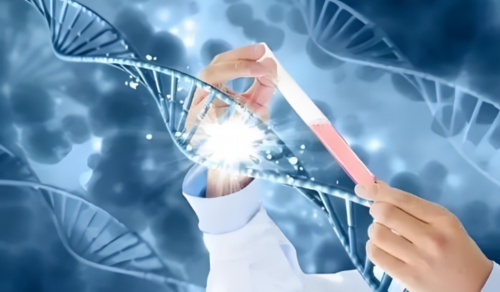 12周NT图片看男女准吗孕妇？要注意什么？