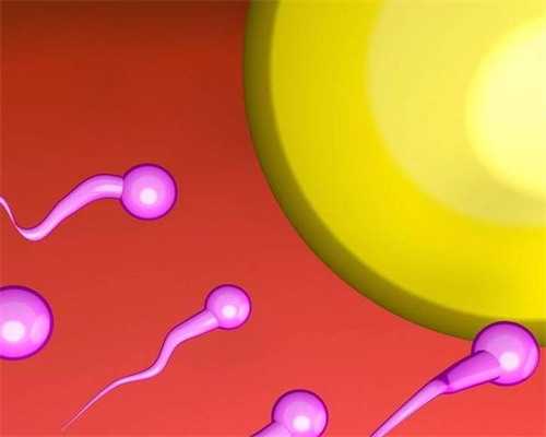 上海最靠谱的代孕公司,2026上海三代试管助孕生儿子费用明细表，收费标准因人