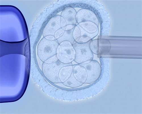 45岁供卵移植成功率多少&供卵费用与成功率,高龄男士备孕究竟要补哪些营养元