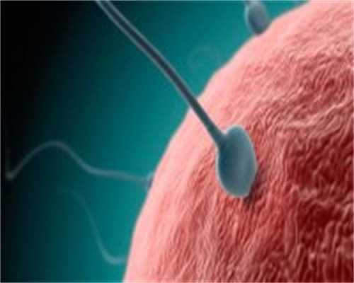 IVF中的囊胚是怎么发育的？