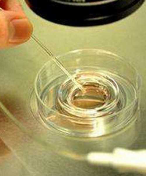 上海借卵自怀价格,上海最大私人试管？吃什么食物有助孕效果