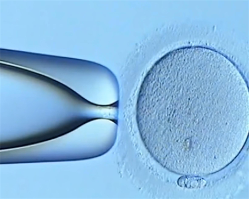 上海最大代孕公司,话还要再继续打降调针吗，试管婴儿，检查项目-上海供卵试