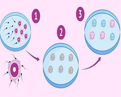 上海借卵试管医院,从上海去日本三代试管婴儿生儿子需要多少钱