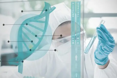 上海代怀 助孕,上海试管哪家医院成功率最高的