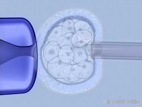 少精症做试管还是人工&西囡 供卵,女性不孕不育有哪些症状
