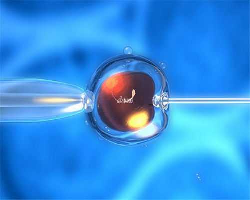 上海帮人代生费用,2026年上海市三代供卵试管生男女机构哪家好