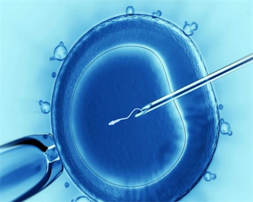 上海借卵做试管代怀,上海优生优育咨询包括哪些内容哪些人需要做