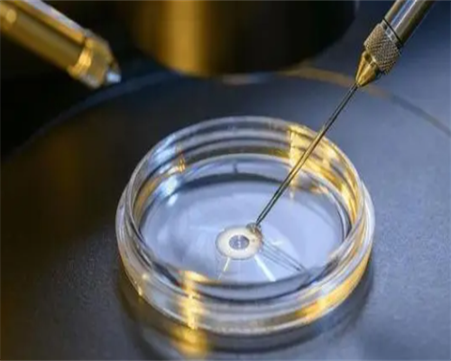 上海最靠谱代孕,上海试管成功率医院排名前试管助孕中介费排行榜！