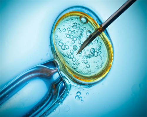 上海怎样做助孕,供卵代孕婴儿治疗步骤和期间的注意事项有哪些？-上海供卵供