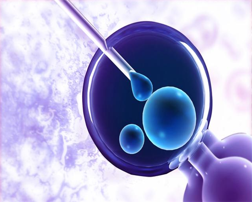 哪里做供卵试管不用等&正规代孕,备孕期男性有哪些注意事项