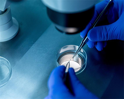 供卵者一般都是什么人&代怀生子,备孕期间男性吸烟喝酒对胎儿会不会有影响