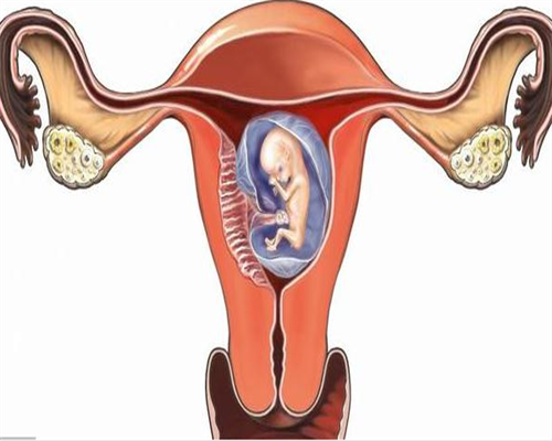 上海代怀医院经历,上海国际医疗中心试管婴儿生男女技术怎么样