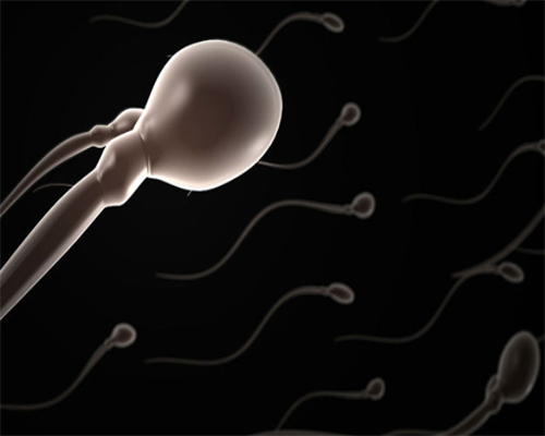 做供卵试管移植要降调吗&试管婴儿提供卵子,23岁月经不调在北京协和检查挂啥