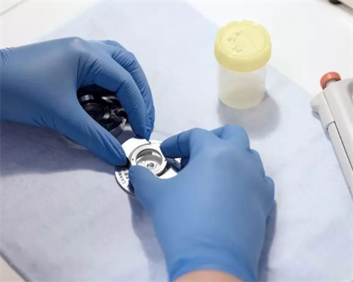 上海哪家做供卵,上海试管男孩咨询-正规助孕机构