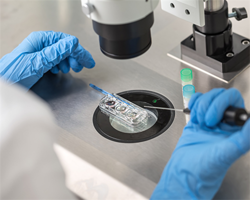 孕期每个月该补充什么，怎么吃，都给你们安排好了！