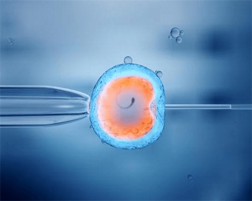 上海代孕顶尖医院,做试管婴儿取卵时需要打麻药吗-上海供卵试管公司有哪些
