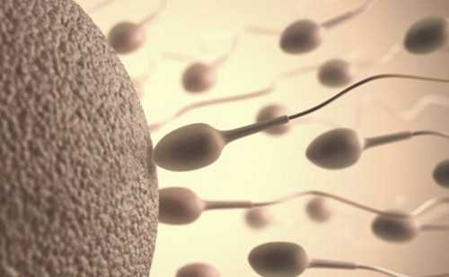 世纪助孕供卵试管中心&代孕医院,男性备孕需要做些什么准备工作吗