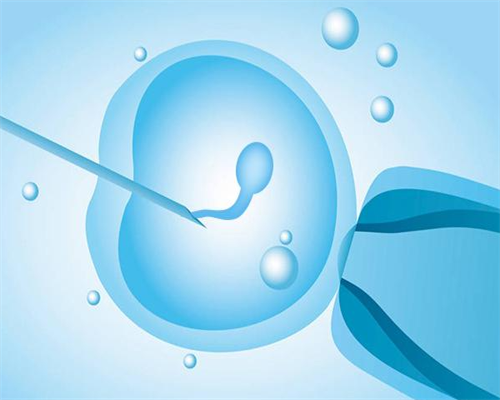 24岁卵巢早衰能恢复吗&供卵试管哪家最好,沈阳盛京不孕不育挂哪个科室？不孕