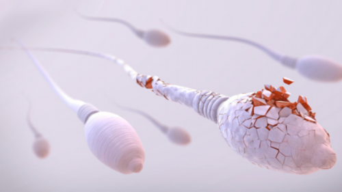 张天爱穿衣真胆大，穿短款针织上衣配牛仔裤大秀小蛮腰，青春洋溢