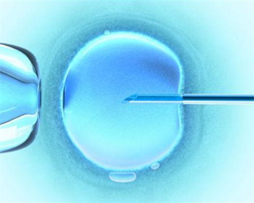 36岁做试管成功率高吗&私立实验室供卵,什么是无精症？怎么治疗无精症？备孕