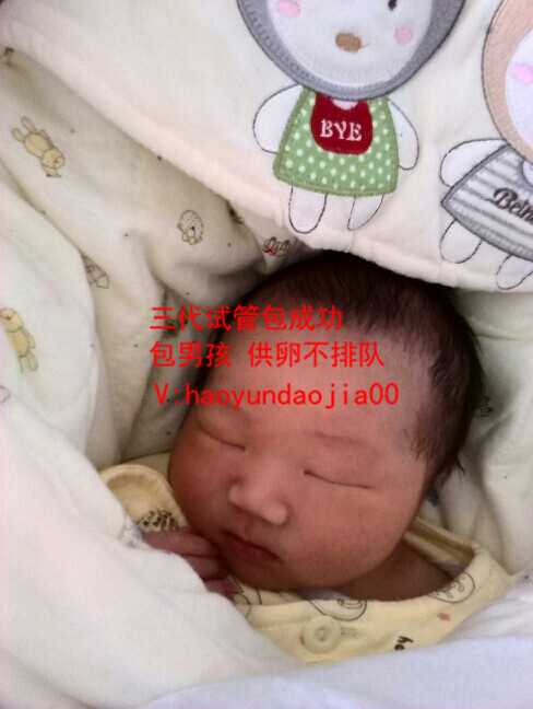 上海供卵试管移植前注意事项_上海不用等的供卵医院_此时胎儿正处于关键的发