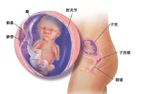 上海有人通过代孕生孩子吗_上海现在代孕是合法_365助孕实力雄厚-孕妇脚气可以